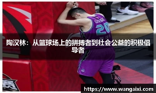 陶汉林：从篮球场上的拼搏者到社会公益的积极倡导者